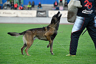 Ghandi from Mike`s Place